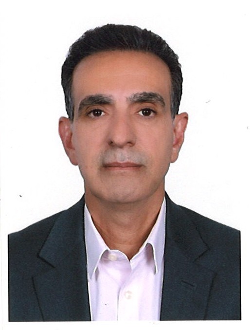 Mr Hamid Taghavi